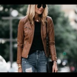 Levis Dark Brown leather Jacket